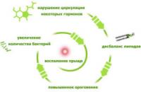 Причины появления прыщей