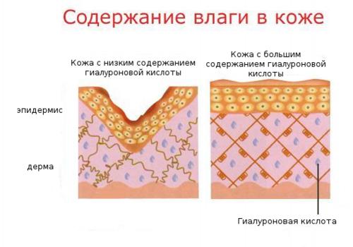 Рейтинг лучших гиалуроновых кремов для лица